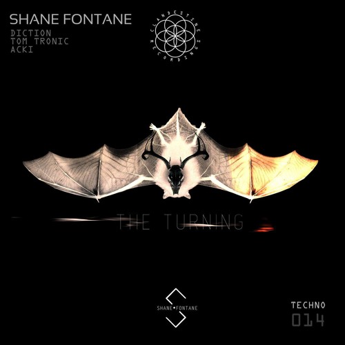 Shane Fontane - The Turning (Original Mix) Preview [Clandestine Recordings]