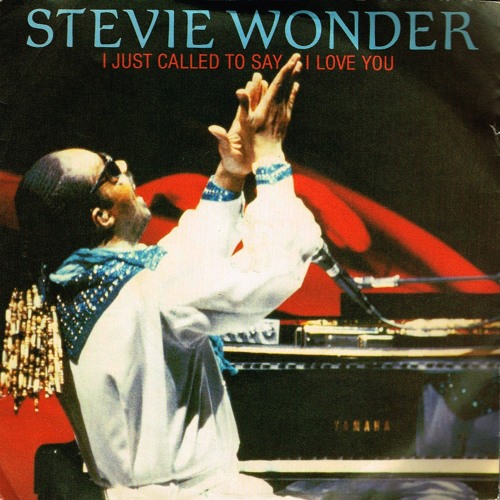 STEVIE WONDER I JUST CALL TO SAY I LOVE U(SLOW CITY DISKO REWORK)