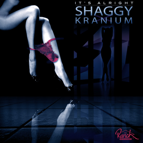 It's Alright - Shaggy X Kranium