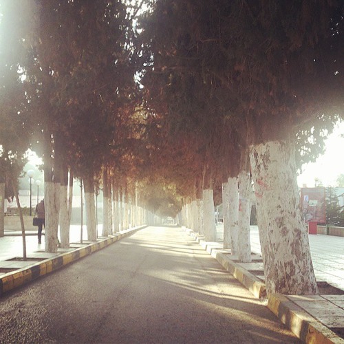 نشيد الجامعة الأردنية