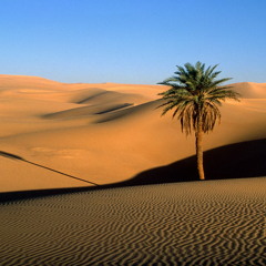 See The Desert