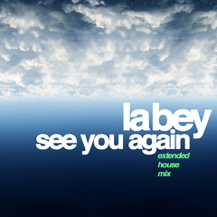 Wiz Khalifa - See You Again (Extended House Remix)