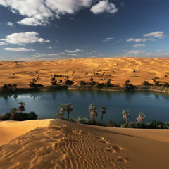 Gobi's Valley Oasis
