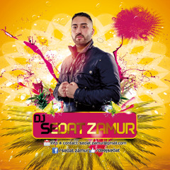 DJ Sedat Zamur Summer Mix 2015
