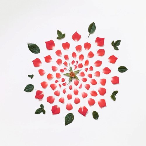Ricardo Villalobos - Sexuality (  Edit )