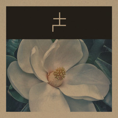 DIM THE LIGHTS X (Live Recording)