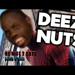 BE NICE 2 CATS / Deez Nuts / FREE DOWNLOAD