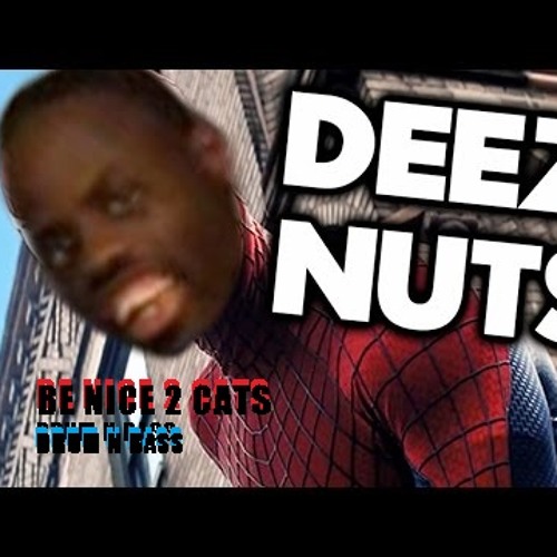 BE NICE 2 CATS / Deez Nuts / FREE DOWNLOAD