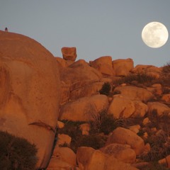 moontribe