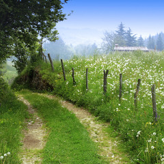 الصلاة و الرزق  الشيخ خالد الراشد  حفظه الله