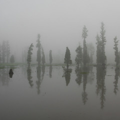 Vanessa Eidse feat. Josh Pym - Temple Walls (experiment)