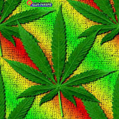 ·•°·»☆★™♫♥´YO ME ENAMORE·•°·»☆★™♫♥´