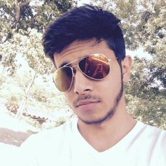 Feroz kunduzi