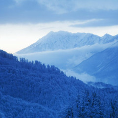 Lachrymose Landscapes (Genesis Version)