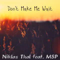 Niklas Thal feat. MSP - Don't Make Me Wait (Original Mix)