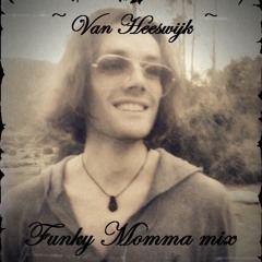 Van Heeswijk - Funky Momma mix (teaser)