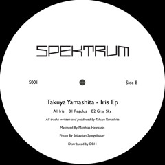 A1 Takuya Yamashita - Iris (Spektrum)