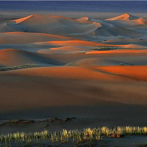 Gobi S Valley 7