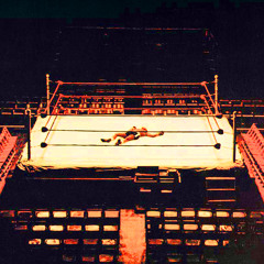 Episode 13: Knockout