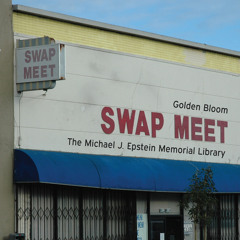 Amylee (The Michael J. Epstein Memorial Library cover)