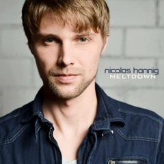 nicolas hannig - Meltdown