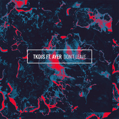 TKDJS - Don't Leave ft. AYER