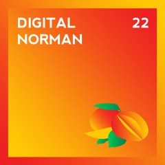 22 - DIGITAL NORMAN
