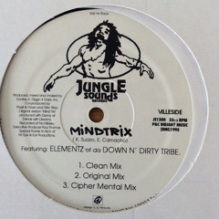 Down N' Dirty Tribe - Mindtrix (Clean Mix)