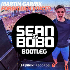 Martin Garrix - Forbidden Voices (SEAN&BOBO BOOTLEG)