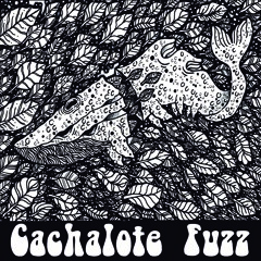 Cachalote Fuzz - Temporada De Caça