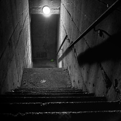 Echo (Existential interlude)