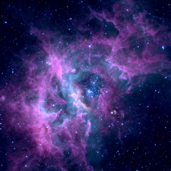 150610 - FUSION - Egon - EmergenceFm