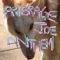 Average Joe Anthem