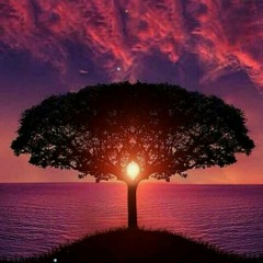 Perks of being a bored. Hahahaha