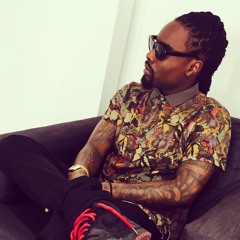 Evolution Of Wale (Vol. I)