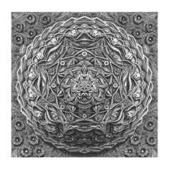 Deer - Emerging Wildlife