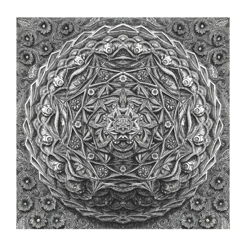 Deer - Spooky Action (Dwig's Evocational Remix)