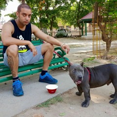 Sardar by Sippy Gill..?