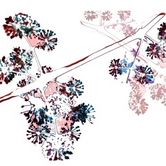 Rambling: for Flute, Clarinet, Trombone, and Double Bass (2012)