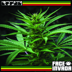 Face Invada - Prix D Ami