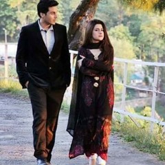 Hamari adhori kahani