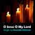 Artwork for O Jesus O My Lord: Christian Pop Rock Songs English by Sourabh Kishore, Pop Rock For Humanity