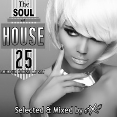 The Soul of House Vol. 25 (Soulful House Dj Set)