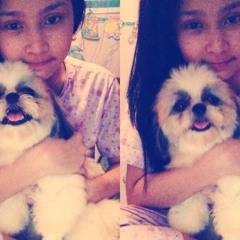 The Day You Said Goodnight☆