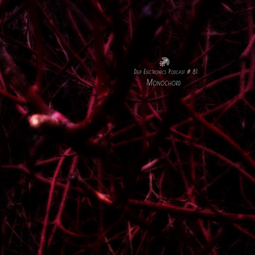 Deep Electronics Podcast # 81 - Monochord