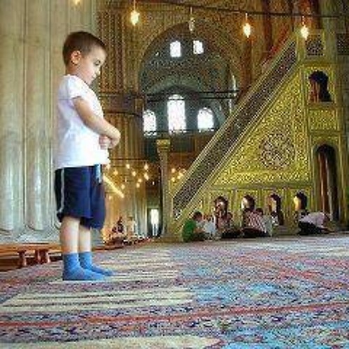 الشيخ ناصر قطامى