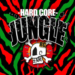 Hard Core Jungle Mixtape