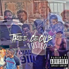 Tree Cecil B - Posted
