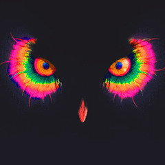 CASANOVA 26 (TECHNO PRACTICE SET)