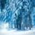 Artwork for Winter sorcery